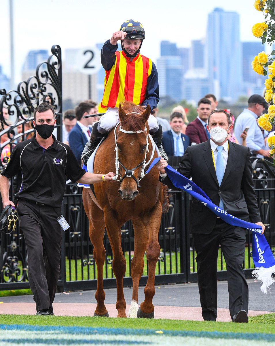 Vinnycenzo_71's tweet image. Nature Strip @mcacajamez wins Gr1 Darley Sprint Classic at Flemington for @cwallerracing 🏆
#speedmachine 🏇💨💨