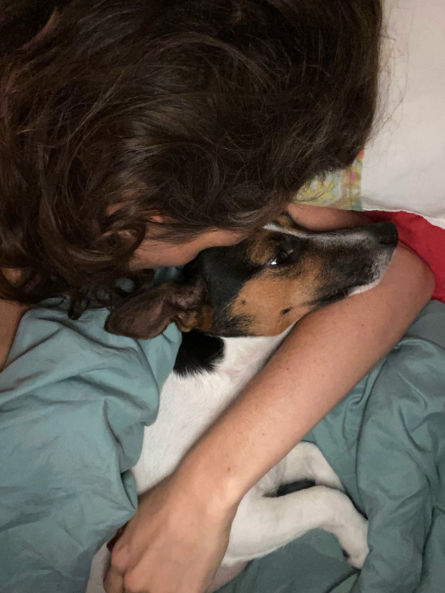 la_justiciere_'s tweet photo. Bon week-end à vous ‼️ En direct du #câlin tout chaud avec la petite chieuse mi gueuleuse avec les autres mi #amour avec nous 🥰  #jackrussel #puppy #puppylove #matincalin #jackrusselterrier #dog #doglovers #chienheureux #chien #chienne 🐶 https://t.co/HZdO6Kh6ew