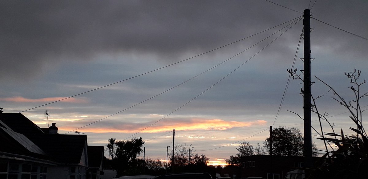 Fiona J Roberts Author tweet media