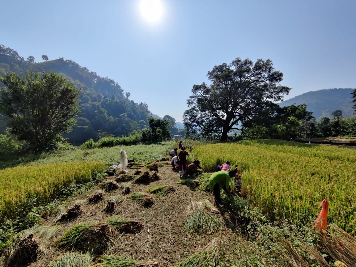 Live, learn and grow                                                                                                               

Embracing the mentality of giving more than a shelter and a bed provides an ideal student experience.