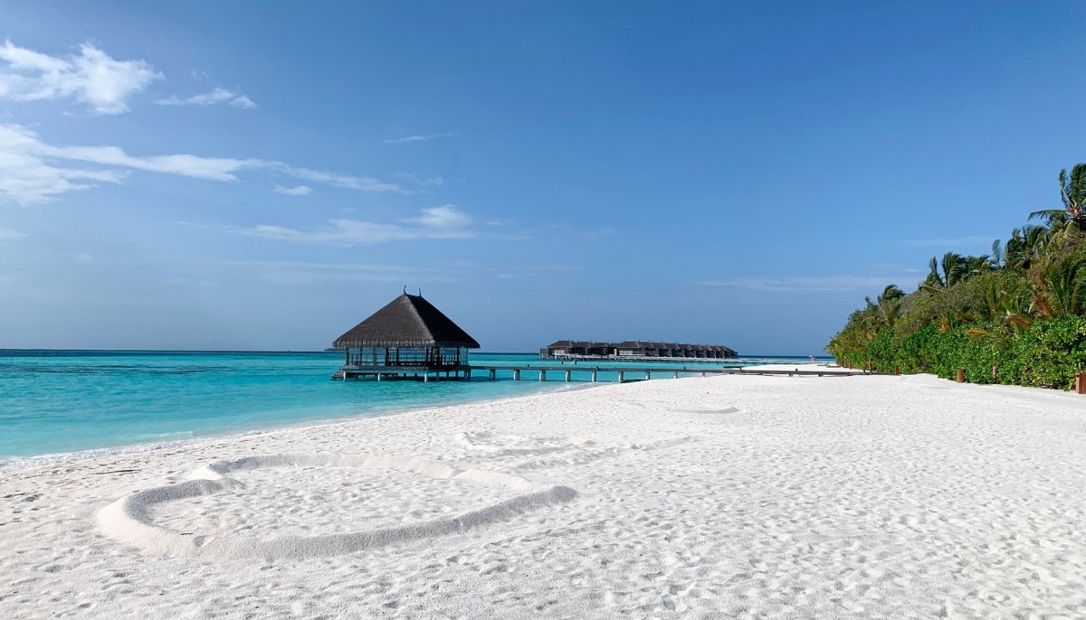 constancehotels's tweet photo. Dreaming of a #CoupleHoliday in the tropics? #ConstanceMoofushi is just what you need 🤗 

Start planning➡️ https://t.co/PCYHUeeeGH

#Maldives #Paradise
#BookNow #MyConstanceMoment https://t.co/6nZ67HGWsV