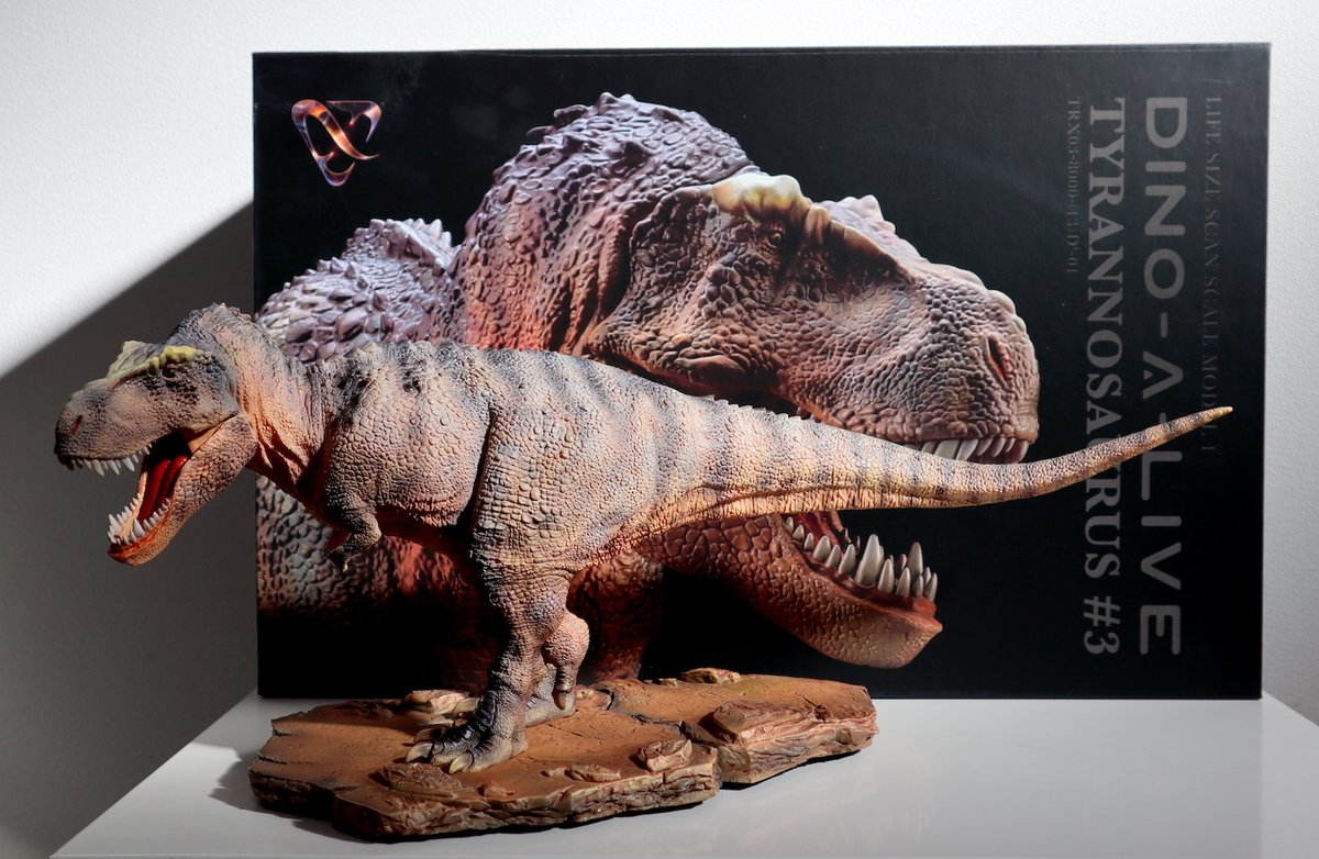 あちゃさん専用dinoworks ディノワークス ティラノサウルス