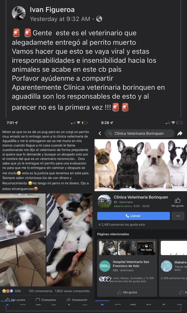 🚨🚨🚨NO LLEVEN A SUS MASCOTAS A ESTE VETERINARIO!!!!!!!🚨🚨🚨