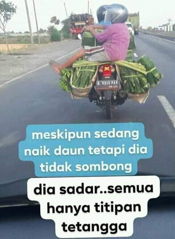 Kita harus belajar dari orang ini walaupun karirnya udah naik daun, tapi tidak sombong. 😂😂