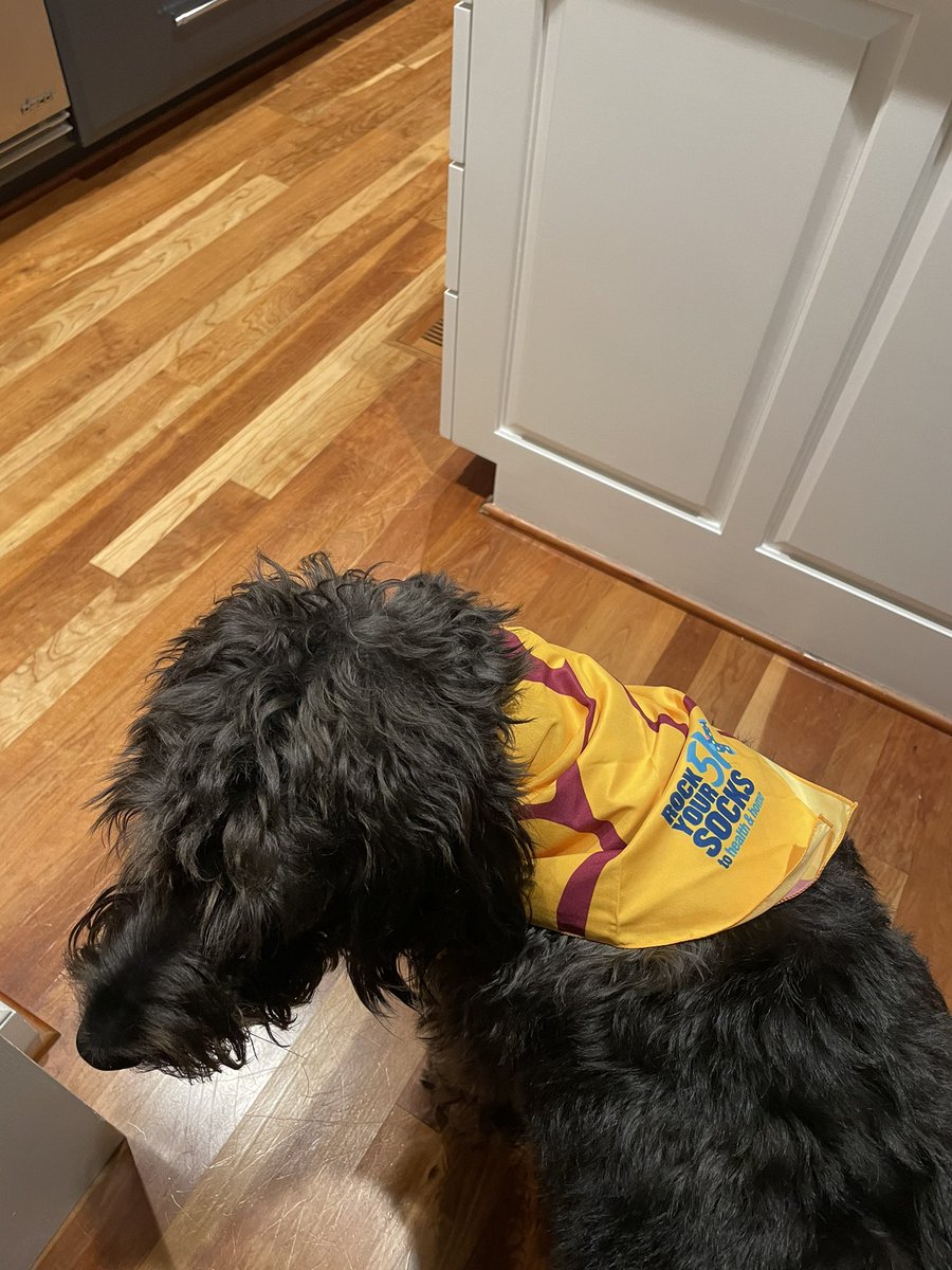 Kimberly Hollander (@khollander04) on Twitter photo Rock Your Socks Off 5K, supporting Healthcare for the Homeless! Although I couldn’t join the group this morning, I had a great walking buddy. @DrMegs <a href="/SankovaSusan/">Susan Sankova</a> <a href="/UMD_Anesthesia/">UMD_Anesthesia</a> <a href="/hchomeless/">Health Care for the Homeless</a> #RockYourSocks5K Rock Your Socks Off 5K, supporting Healthcare for the Homeless! Although I couldn’t join the group this morning, I had a great walking buddy. @DrMegs <a href="/SankovaSusan/">Susan Sankova</a> <a href="/UMD_Anesthesia/">UMD_Anesthesia</a> <a href="/hchomeless/">Health Care for the Homeless</a> #RockYourSocks5K