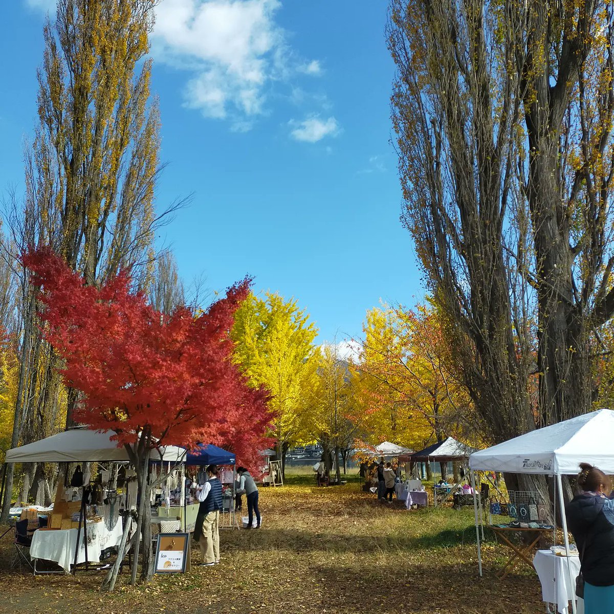 mittehanco's tweet photo. かつやまマルシェでした🍂ありがとうございました！ https://t.co/672ZgusABP