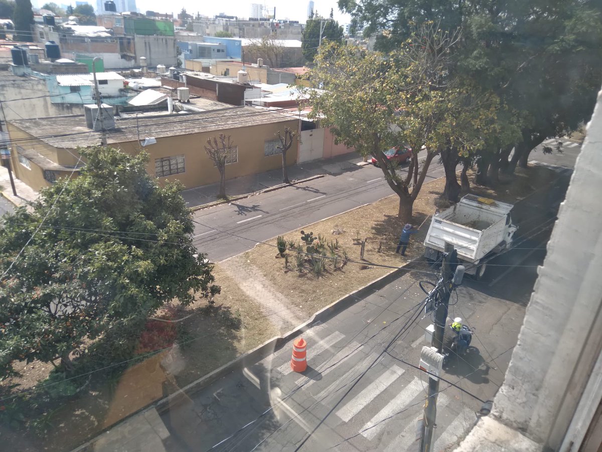PorVolcanes's tweet photo. El camellón de la 27pte. Formó parte del programa de “Mantenimiento de Camellones” #Puebla cuidando las plantas de nuestro jardín vecinal. Hacer de este espacio un lugar agradable y en armonía con nuestro ambiente de la mano de @arboles_puebla y @PueblaAyto https://t.co/meMez8HhbL