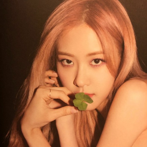 Nãy mình mới thấy 1 bạn fansé retweet lại chiếc tweet vote cho Lili của mình đó 🥺🥺🥺🥺
I vote #rosé for #MAMAVOTE (<a href="/BLACKPINK/">BLACKPINKOFFICIAL</a>) 
BLINKS UNITE FOR MAMA