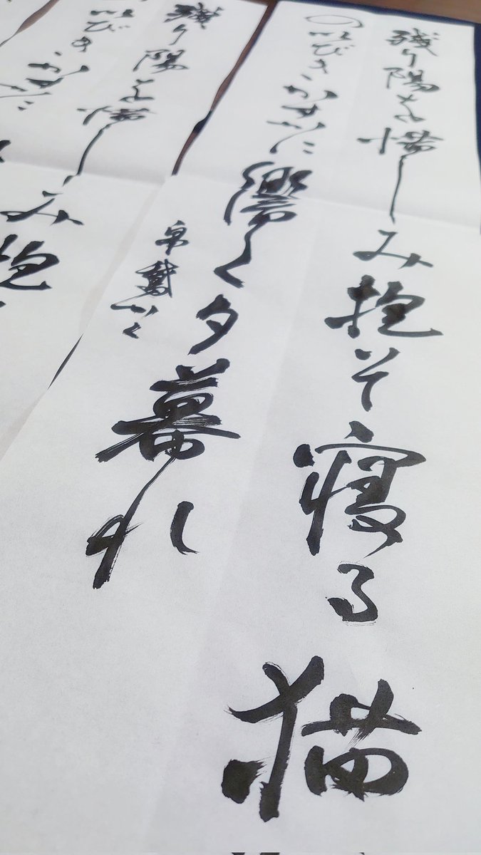 今年の小さい掛け軸はこれを書く。自分の句を簡易掛け軸とはいえ、軸に出来るなんて、贅沢……。うちの猫が掛け軸になるのだ。ふふふ…… #習字覚書 
