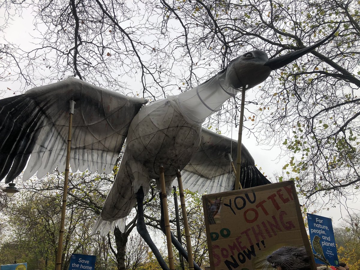 ChrisGPackham's tweet photo. It’s a little damp but the streets of Glasgow are filled with people demonstrating their concerns about the efficacy of #COP26 . The time to act is now - we are fed up with talk so it’s time to walk @Natures_Voice https://t.co/0gB0tN2AMK