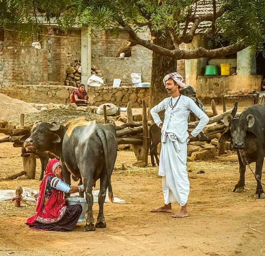 रूठी बेग़म😏... उड़ते बर्तन सब नज़ारे देखेंगे..🙈
चांद घर में लाने वाले😂.._दिन में तारे देखेंगे😜💔

#ब्याह_दी_अनपढ़_हाली_के🤣🤦
💜#अनपढ़_प्रेमी🖤
<a href="/SantoshMeena26/">𝙎𝙖𝙣𝙩𝙤𝙨𝙝 𝙈𝙚𝙚𝙣𝙖 Dausa</a> @bishnoikanchan9 @Vr3035 @Dishu_26H <a href="/BhagwatiSoni19/">Bhagwati Soni</a> <a href="/Gitika_RJ05/">🚩🔱गीतिका राहुल फोगाट #ॐ 🇮🇳</a> <a href="/mamta_g2/">Mamta</a> <a href="/tina_nagar/">Tina Nagar</a>