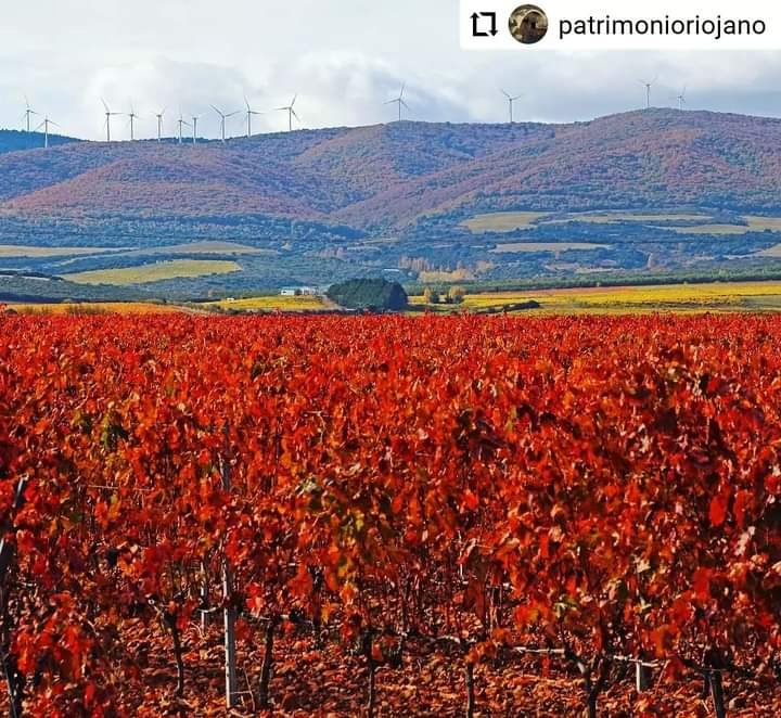 ProgresoRioja's tweet photo. Otoño a pie de monte, al fondo Sierra La Hez. 
Ya tenemos suficientes aerogeneradores, laats y subestación eléctrica en Ocón y Jubera @ConchaAndreu @DoradoAlex @EvaHita 
#paisajesyviñedos
#RenovablesSÍperoNOasí
#LaRiojaNOsevendeLaRiojasedefiende
#LARIOJAinSOStenible https://t.co/8SptTed6s1