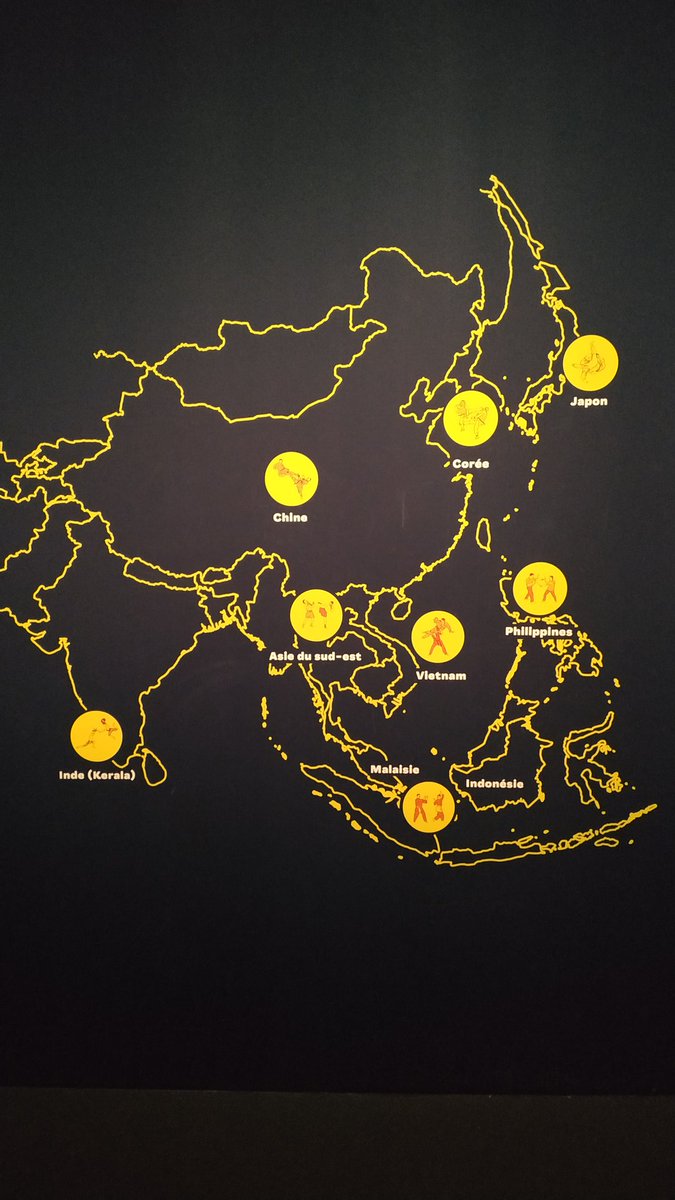 MysTeR_App's tweet photo. Après-midi #KungFu / #JuJutsu au @quaibranly . L'#exposition est impressionnante !
#mystereaparis #expo #paris #idee https://t.co/DHKygghxTg