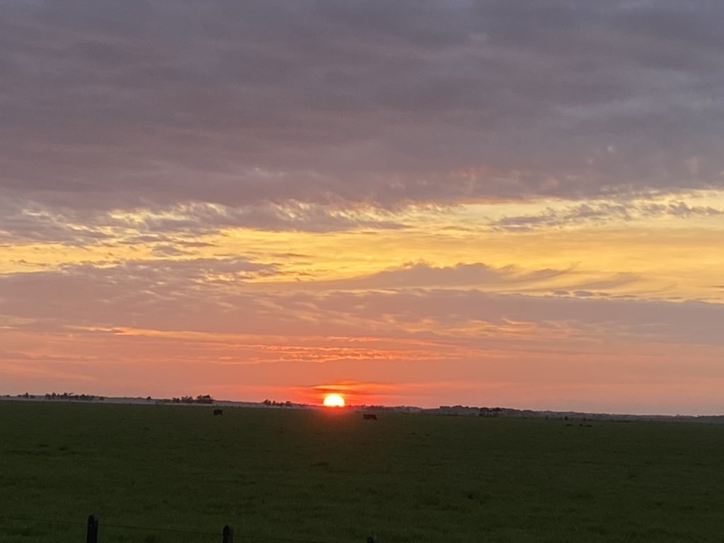 ¡Buenos díaaaaas!
Así amaneció hoy en los llanos de Colombia 🇨🇴 
5:33 <a href="/colombia_hist/">Historia de colombia</a>