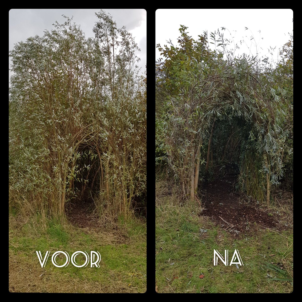 Natuurbelevings's tweet photo. Alvast een eerste impressie van het resultaat van #natuurwerkdag 2021. Meer foto's en een verslag van de dag volgen later. 😁
@NatuurwerkdagNL #lekkerbuitenbezig #DeBult #NieuweWetering https://t.co/RsiOVbGj5R