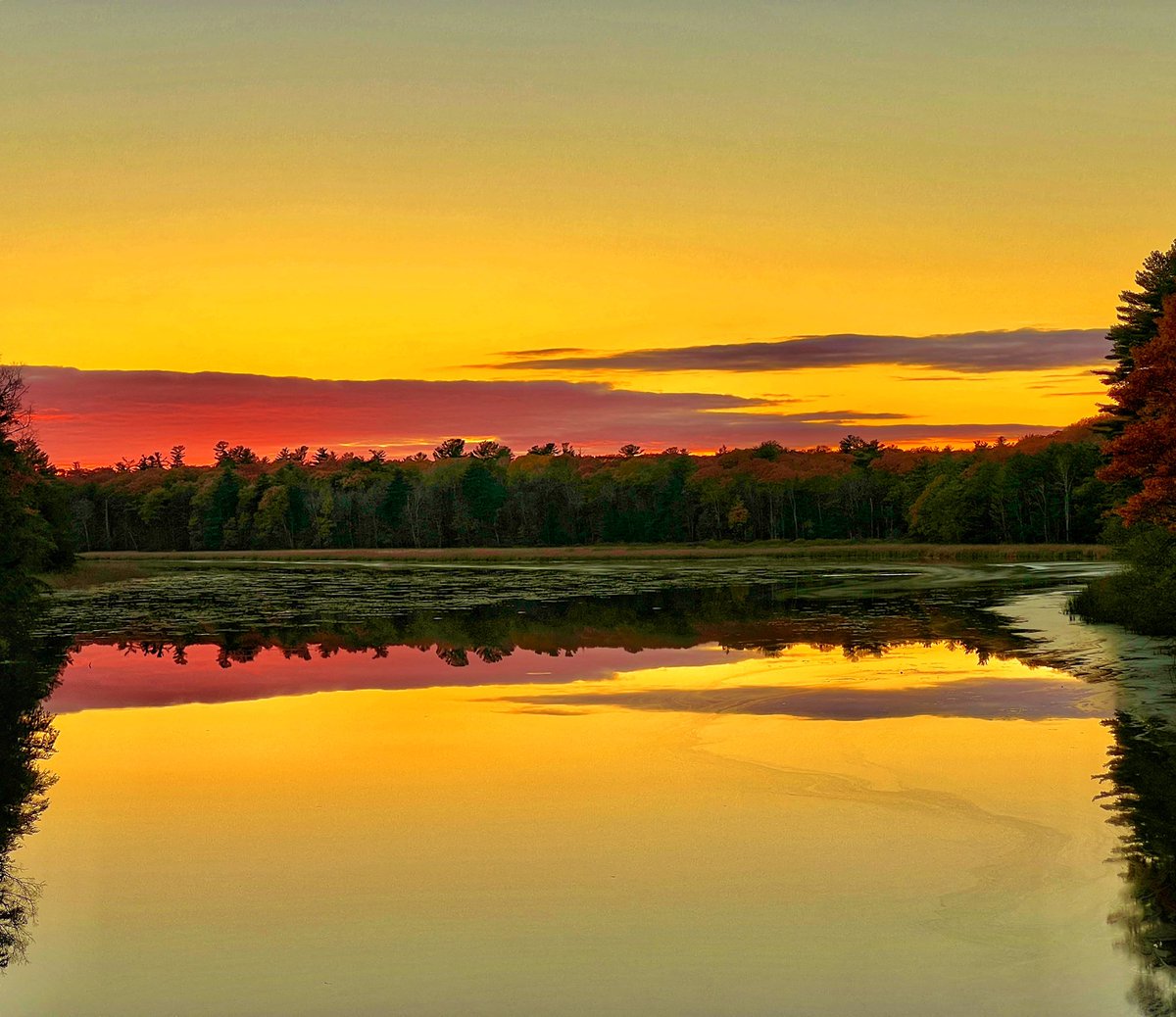 Fall sunsets in the 1000 Islands, yes they are the best 🍁🍁

#1000islands #visit1000islands #lifeontheriver