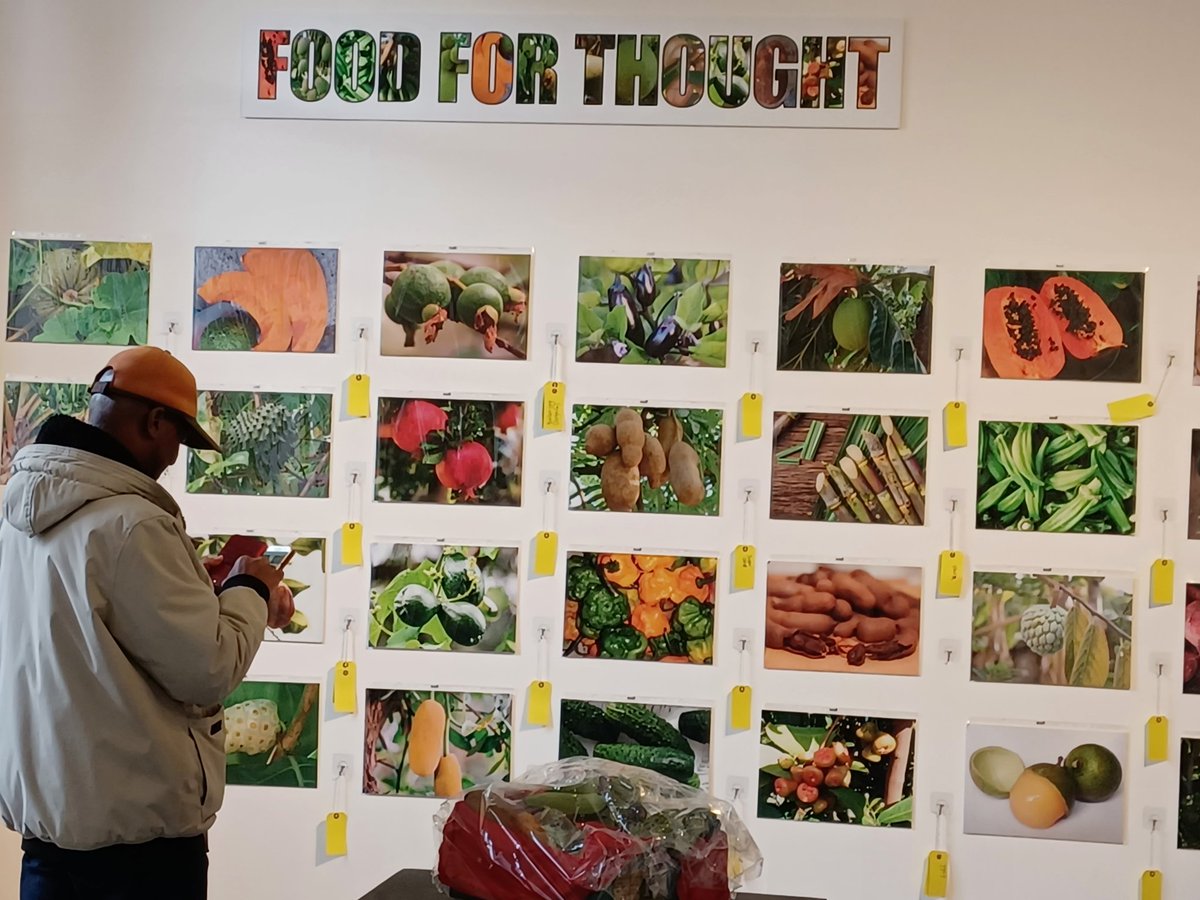 TAReynolds12's tweet photo. Can you guess the name of the fruit and vegetables? Who knew different Caribbean islands had diverse names for the same fruit and veg #balanjay or do you know it by a different name? #foodforthougut #appliedsociology @Caribbean_Forum @uoggalleries  @UniofGreenwich @ResearchScene https://t.co/IUQaL8yIUS
