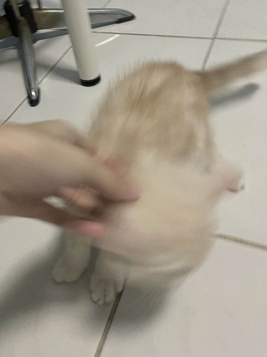 acatmarvel's tweet photo. โตเป็นหนุ่มแล้ว ไม่ต้องการความทะนุถนอมจากยาย เพราะว่าอายเพื่อน กลัวเพื่อนล้อว่าติดยาย https://t.co/nHCt2QB8xr