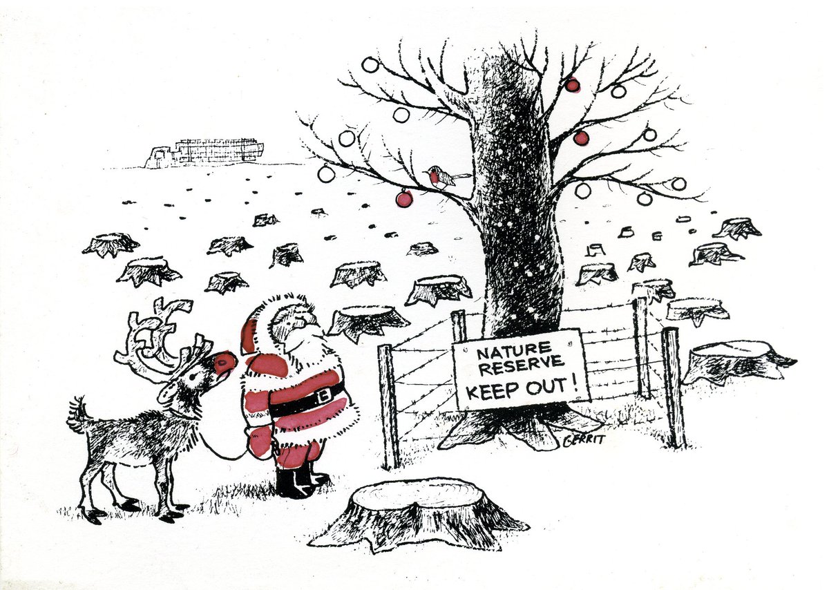 Finn van Gelderen tweet media