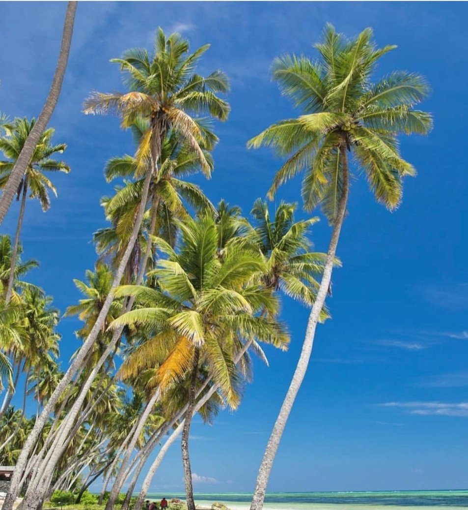 DJAnkletap's tweet photo. THE SOFT LIFE in Zanzibar... Imagine winning an all expenses paid trip for 7 days for you and a partner... You Can! Click the Link in my Pinned tweet to enter the competition. Goodluck Mchanas! https://t.co/X6kWWsDcYo