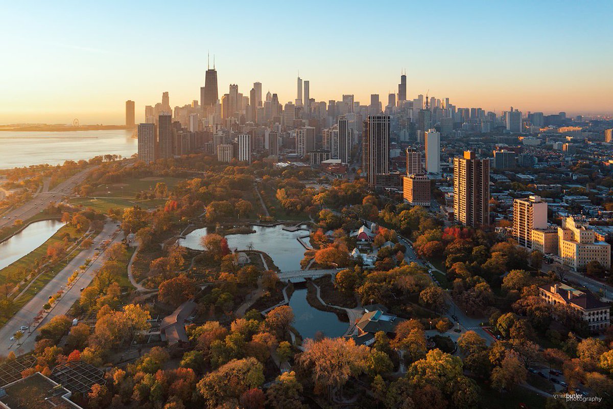 barrybutler9's tweet photo. Autumn Awakening on Saturday in Chicago. #weather #news #ilwx #chicago #fallcolors https://t.co/gqnhoxhNeW