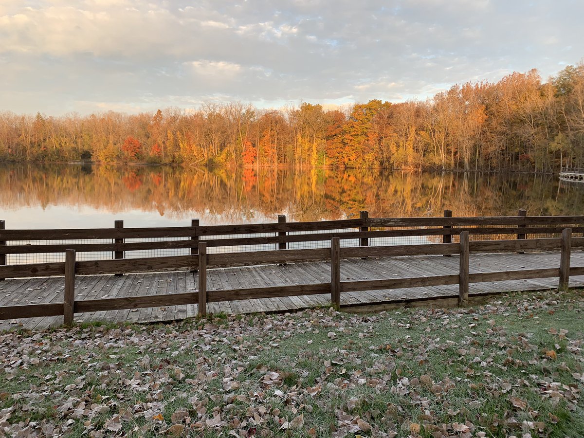 kle052789's tweet photo. Fall running is by far my favorite. I planned to run this non-stop, but couldn’t resist trying to capture some of the beauty. #hawkisland #runlansing #OptOutside #fallcolors #seenonmyrun #frostymorning #puremichigan https://t.co/RUVGODqGKb