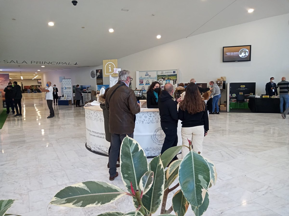 Último día del International Cheese Festival Asturias Paraíso Natural

Os invitamos a disfrutarlo, como lo hemos estado haciendo todos estos días🤩

<a href="/aytoviedo/">@aytoviedo</a>  
<a href="/guildoffinefood/">Guild of Fine Food</a> 
<a href="/alimentosastur/">Alimentos del Paraíso (Cuenta Oficial)</a> 
@institutoqueso 

#ICF2021 #institutodelqueso #alimentosdelparaiso