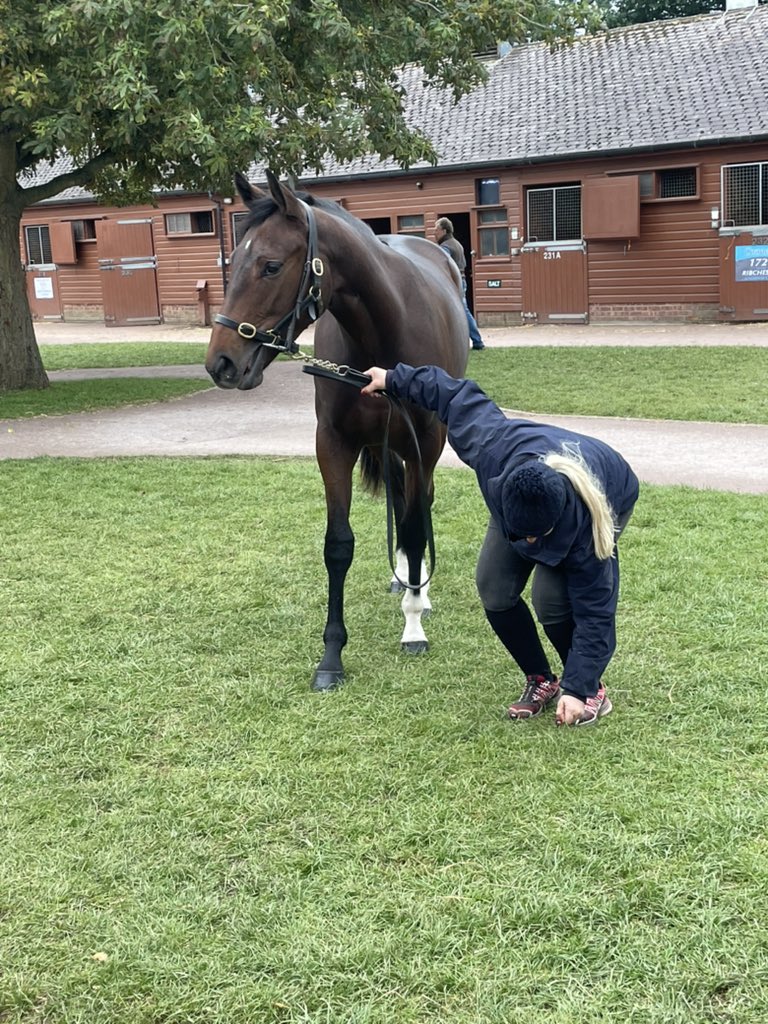 VitruvianB's tweet photo. George is simply world-class 👏🏻 🌎 
A huge run from Cachet, thrilled for him &amp; connections!

Delighted our own @NatStudStallion filly was recently purchased by @HamishMacauley for @gbougheyracing 

Handpicked grass for our busy showgirl🌱 Now in the best hands 🤝 

@TeamSPILLERS https://t.co/x1wW5N5gfA