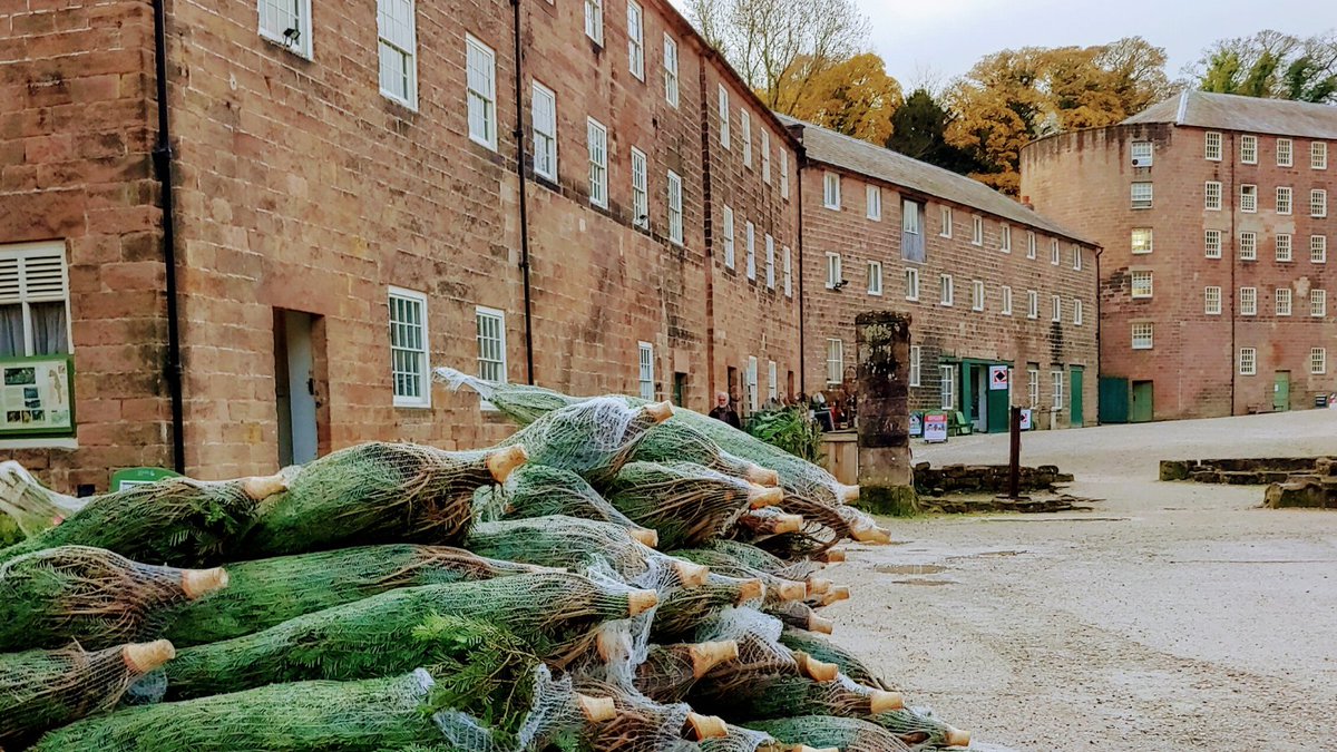 Christmas trees are available at Cromford Mills from the end of the month!🎄

We're also hosting festive markets throughout December with live music from John Gill and Wirksworth Orchestra, warming refreshments &amp; much more festive family fun!🎅

More details coming soon!✨