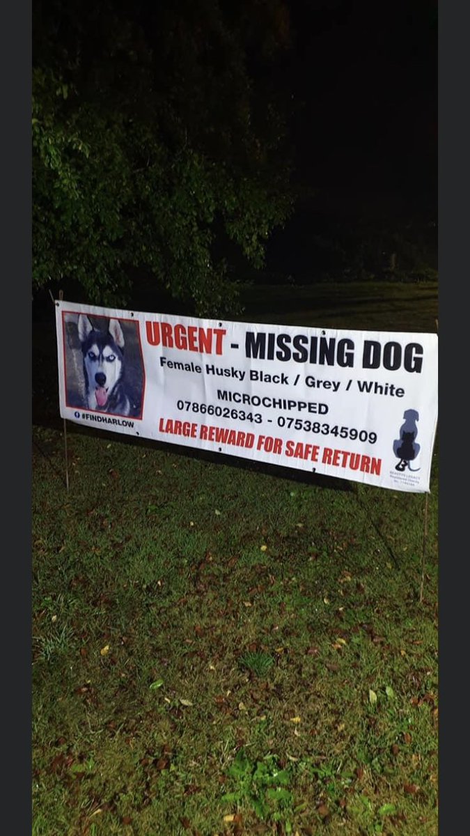 #findharlow Pls RT & look out for Harlow 🙏 #Female #Husky #Missing 11/09/2021 #Retford #DN22 #Chipped #Reward #Stolen 🙏She needs to be Home #PetTheft facebook.com/groups/9385479…