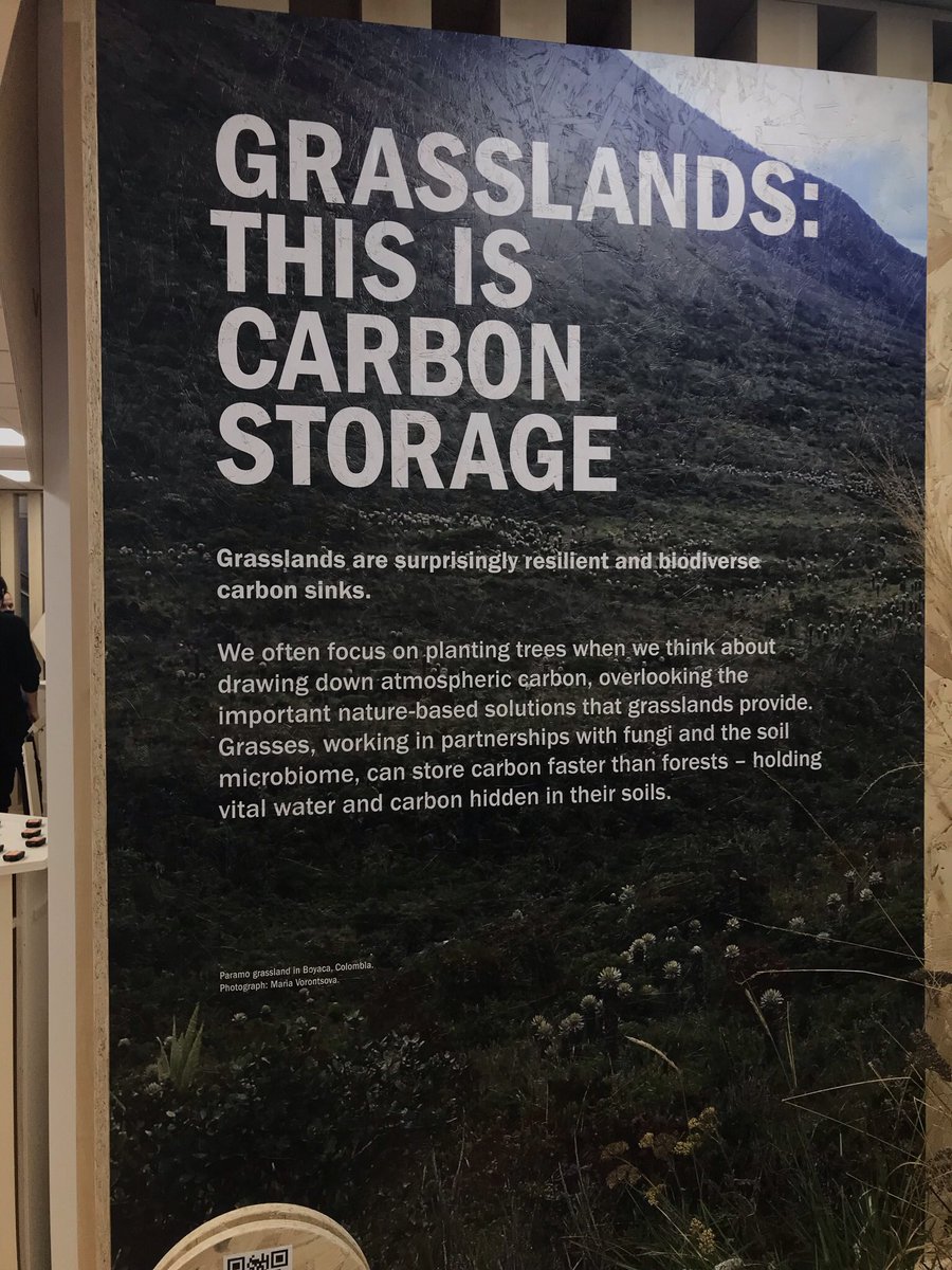 Pleasantly surprised to see this on the UN stand at COP. Long overdue recognition that grasslands play a massive part when it comes to carbon storage. After speaking to those on the stand there was clear acceptance that proper grazing management has a vital role. About time.