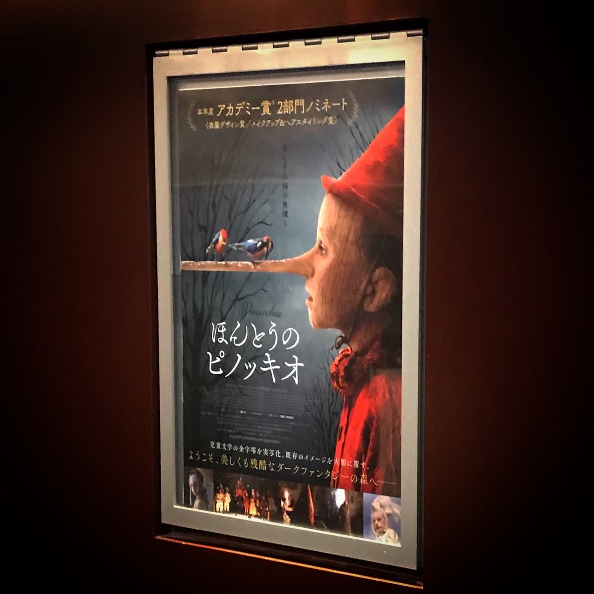 ピノッキオ 映画 最新情報まとめ みんなの評価 レビューが見れる ナウティスモーション 7ページ目