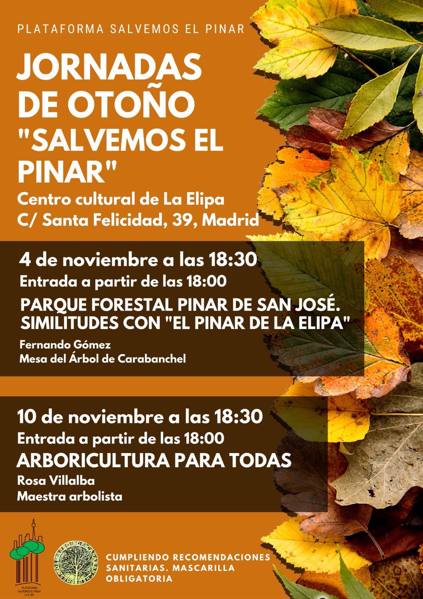 ArbolMesa's tweet photo. Gracias a nuestros compañeros de la #Elipa por invitarnos a presentar nuestro proyecto #LasPiqueñas, el #pinardesanjose y quien es @ArbolMesa ,ellos nacen para defender su PINAR también #salvemoselpinardelaelipa @FRAVM @carabanchelhyp @NuevaElipa @La_Elipa @asamblealaelipa https://t.co/Km2zbBd3Rx