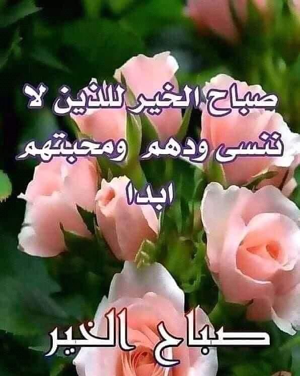 KasemK9's tweet photo. @nadine_s123 https://t.co/EvOzxR1IN2