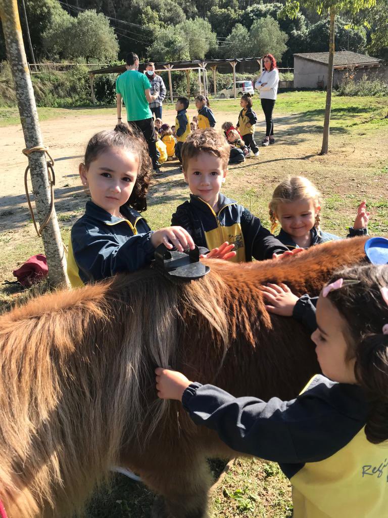 escreginahorta's tweet photo. Els nens i nenes d’Ed. Infantil han anat a #CanMas a celebrar la castanyada. S’han trobat a la castanyera, han fet panellets i han visitat la granja. Quin dia tan genial! #castanyada21 #descobrim #natura #elreginacreixambtu @carmelitasdjose https://t.co/nRHk1eEWCR https://t.co/c9nWMnKzR2