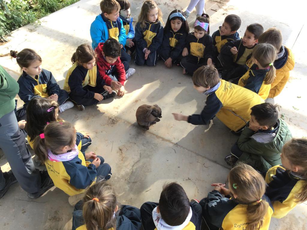 escreginahorta's tweet photo. Els nens i nenes d’Ed. Infantil han anat a #CanMas a celebrar la castanyada. S’han trobat a la castanyera, han fet panellets i han visitat la granja. Quin dia tan genial! #castanyada21 #descobrim #natura #elreginacreixambtu @carmelitasdjose https://t.co/nRHk1eEWCR https://t.co/c9nWMnKzR2