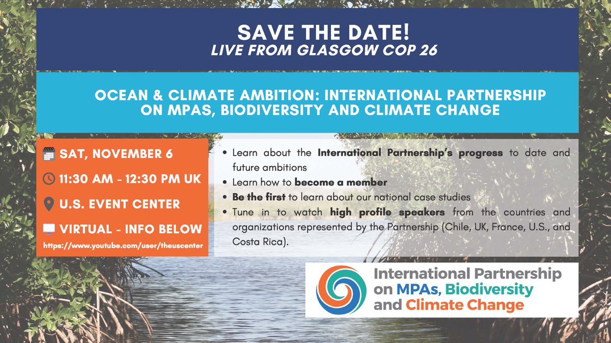JNCC_UK's tweet photo. Nations must act now to protect key ocean habitats & the services the ocean provides to nature & people. Tune into “Ocean & Climate Ambition from COP25 to COP26 & Beyond” today at 11:30 GMT to learn what action is being taken. Visit https://t.co/b9UMoQDkgV
#MPABioclimate #COP26 https://t.co/jjXkZLcfNo