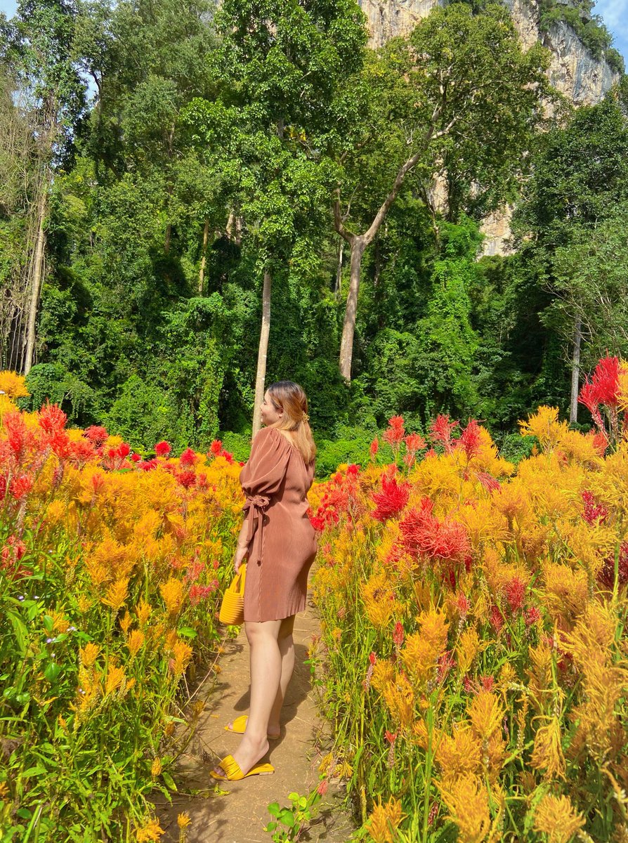AiladaLooklem's tweet photo. ดอกไม้ระวังหมดสวนนะค้าบ เพราะว่าเราเด็ด🤭💋 https://t.co/0dbGdBwBAy