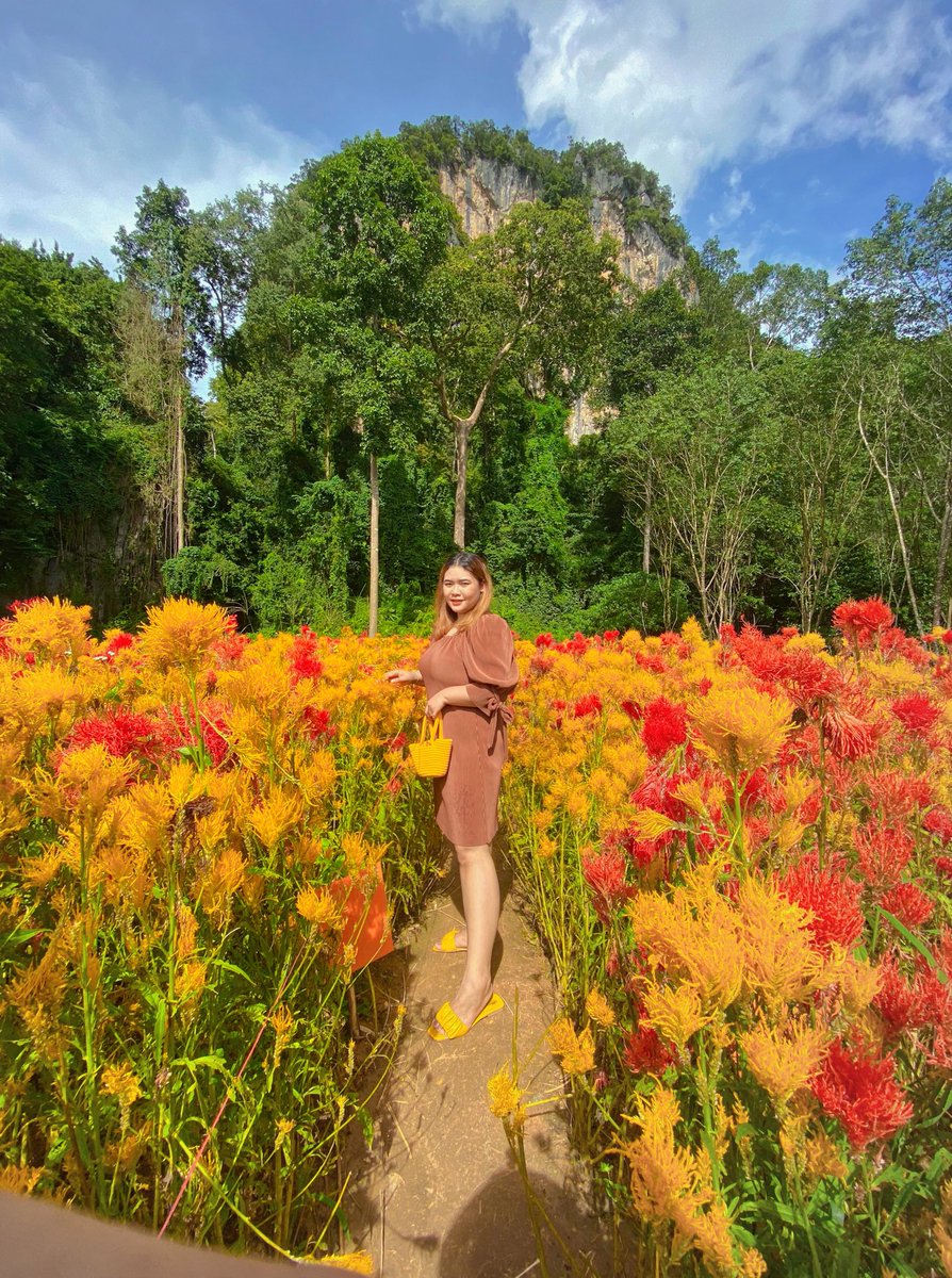 AiladaLooklem's tweet photo. ดอกไม้ระวังหมดสวนนะค้าบ เพราะว่าเราเด็ด🤭💋 https://t.co/0dbGdBwBAy