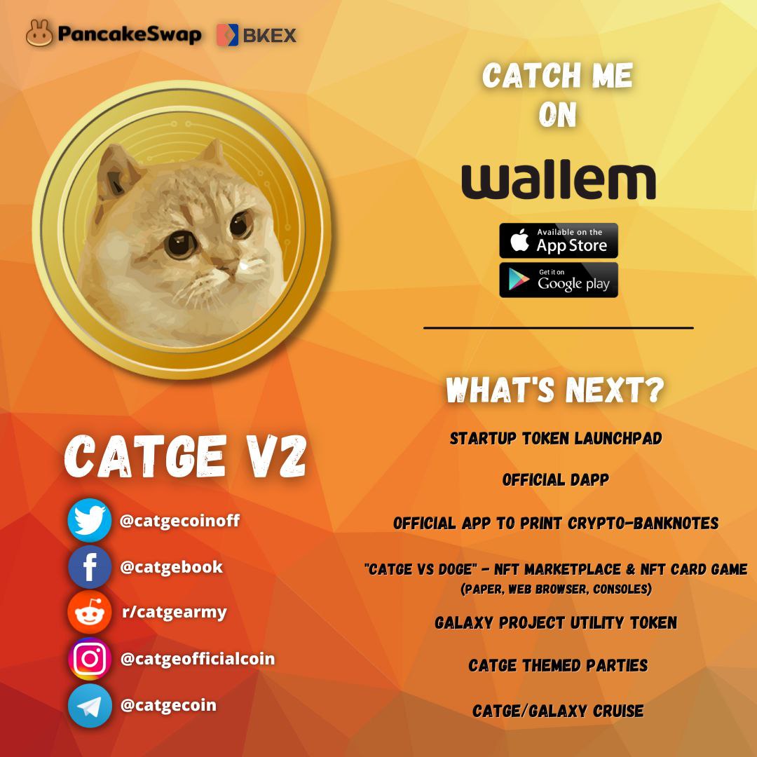 CATGE CATGE CATGE tweet media