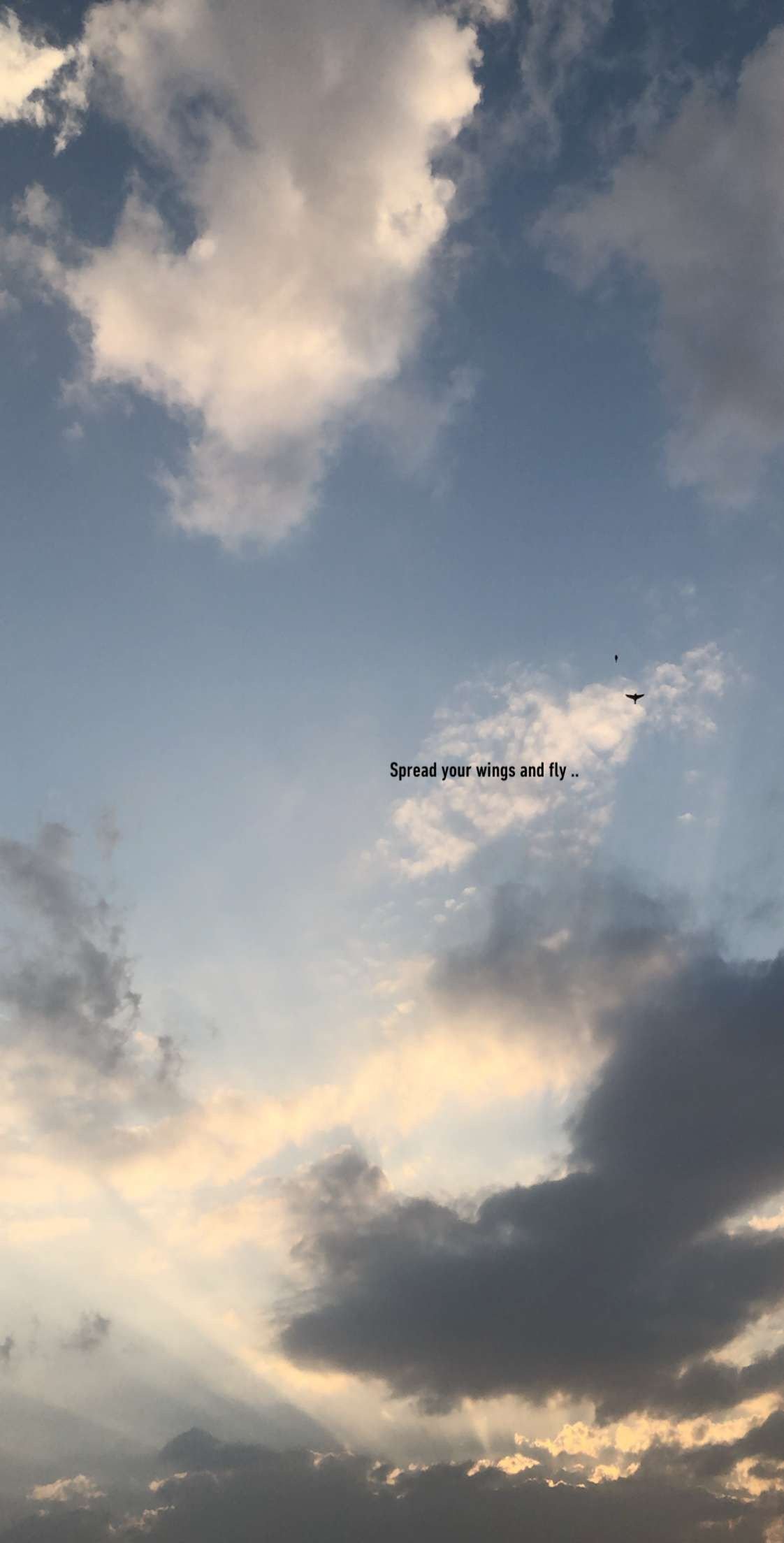 Roz Wilson Only From The Heart Can You Touch The Sky With Music You Can Touch The Soul Music Nature Rumi T Co Ecogp2qrwo T Co Onzvdffdvl Twitter