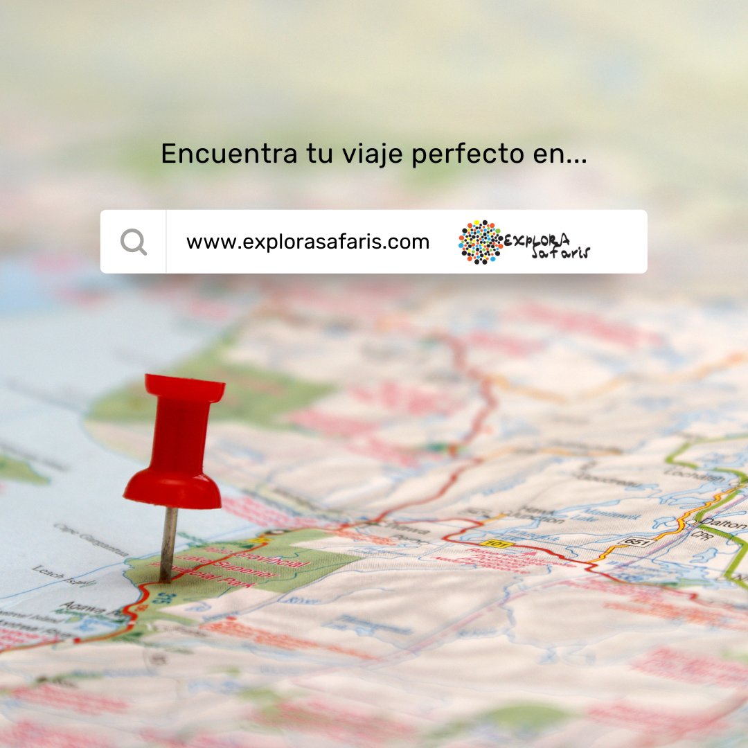 ExploraSafaris tweet picture