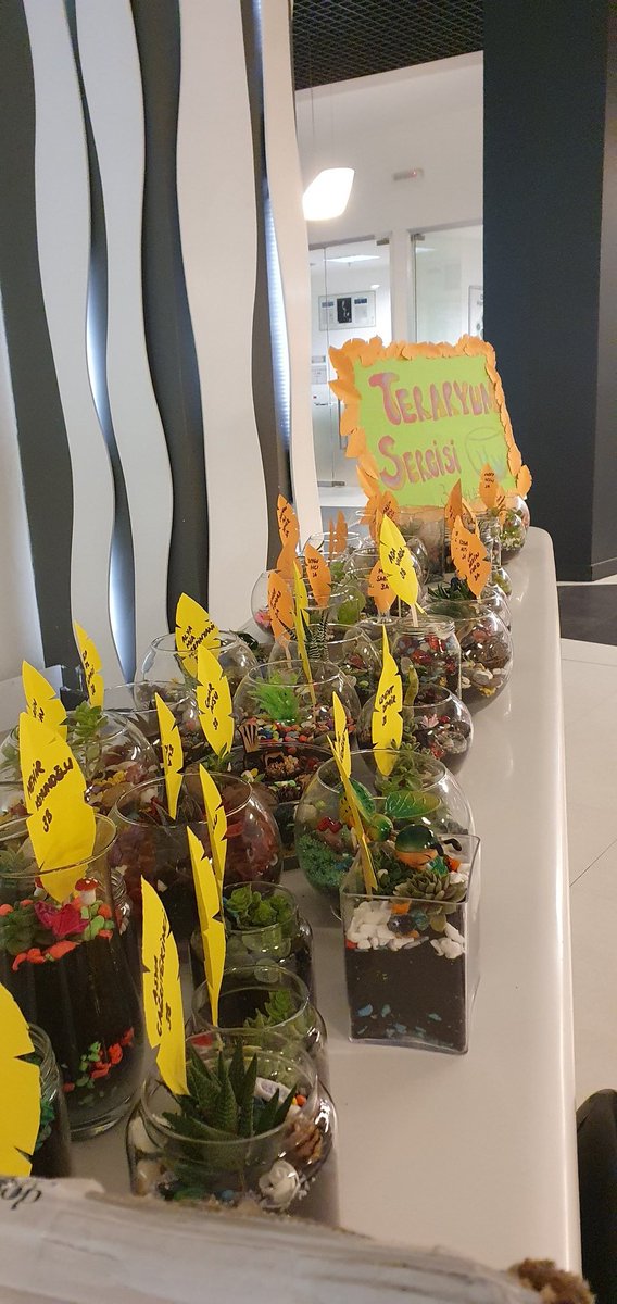 atasehir1doga's tweet photo. "terra" Latince'de toprak demek. "arium" ise "aquarium", yani bildiğimiz akvaryum'dan geliyor. Yani "terrarium"; toprak akvaryumu demektir.
Teraryumlar aslında dünyadaki bazı ekosistemleri taklit ediyorlar.Ekoloji dersinde yaptığımız teraryumlar sergide 🌸 https://t.co/Vr30k049rF