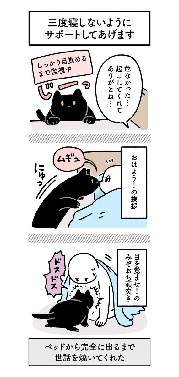 ねこに「7時に起こして〜」って言って二度寝したらホントに7時に起こしにきてくれて、ベッドから出るまでの間に三度寝してしまわないようにお世話してくれたときの絵日記 #ろんの絵日記 