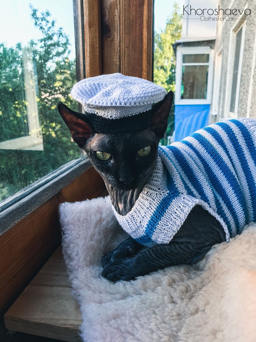 ClothesForCat's tweet photo. Excited to share the latest addition to my #etsy shop: Cat sailor hat crochet pattern PDF, Small sailor hat - Accessory for sphynx https://t.co/a0dA4bBy46 #birthday #halloween #crochet #pdfpattern #catcrochetpattern #cathatpattern #sphynxcatpdf #crochetforcats #catcost https://t.co/Q71tDgL2kc
