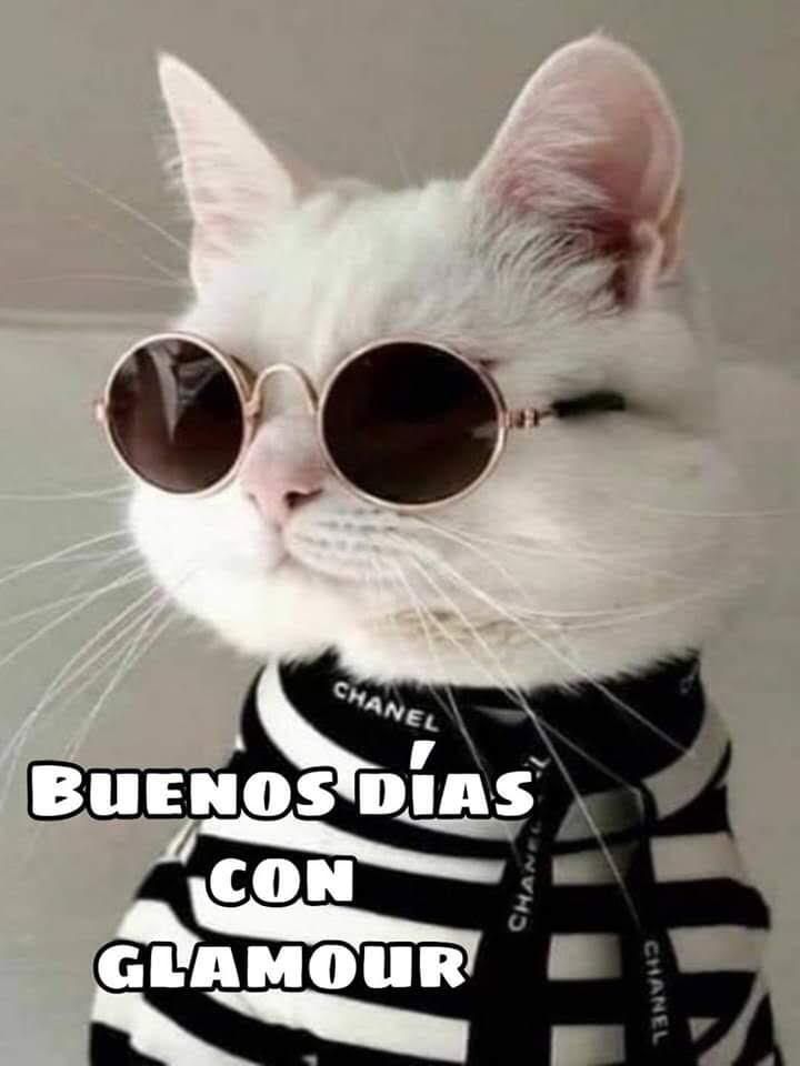 ConchaM11110797's tweet photo. Feliz sábado 😘😘😘 https://t.co/UmLfnkVgzV