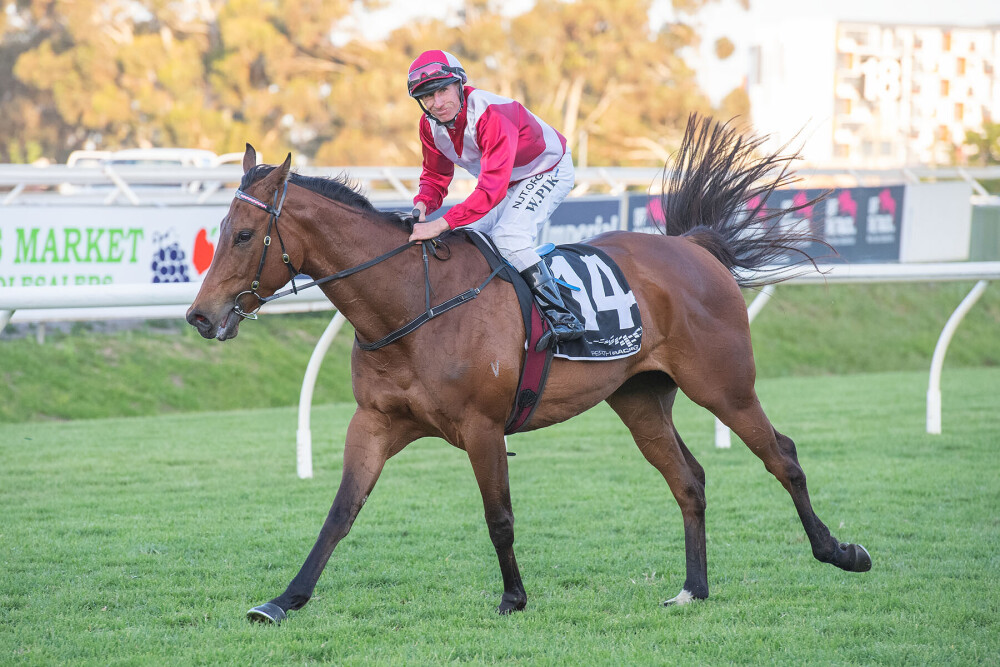 TAB_touch's tweet photo. Pike and punters strike in the last with Bright Diamond π weaving through traffic to get over the top of Gunmetal Grey #PikeInTheLast https://t.co/eLRQlcUMFG