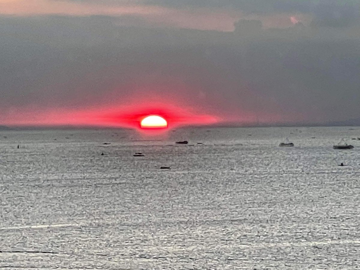 Ted Wilson tweet media