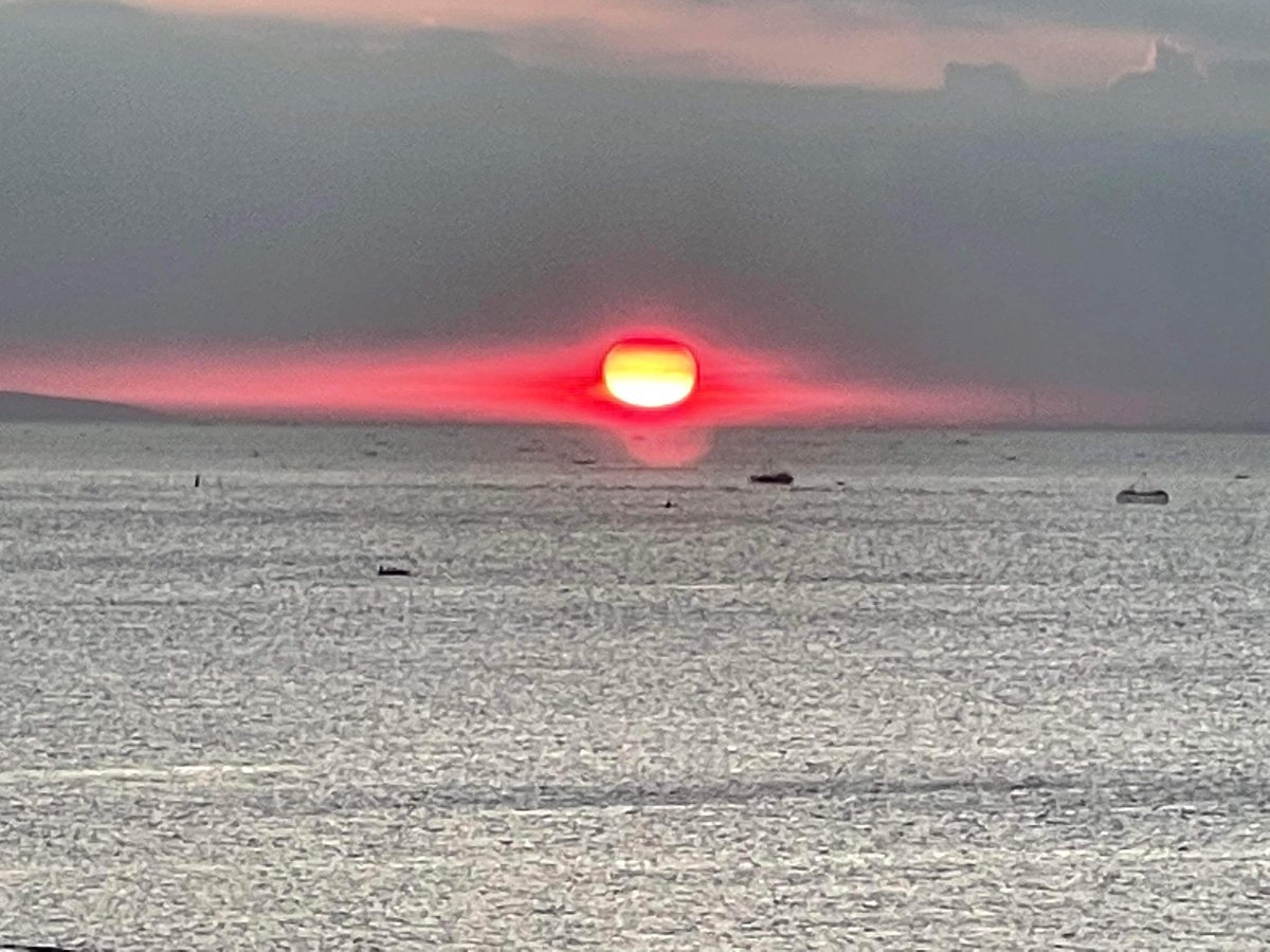 Ted Wilson tweet media