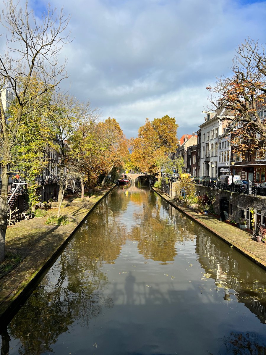 @rogerb ロジェ tweet media